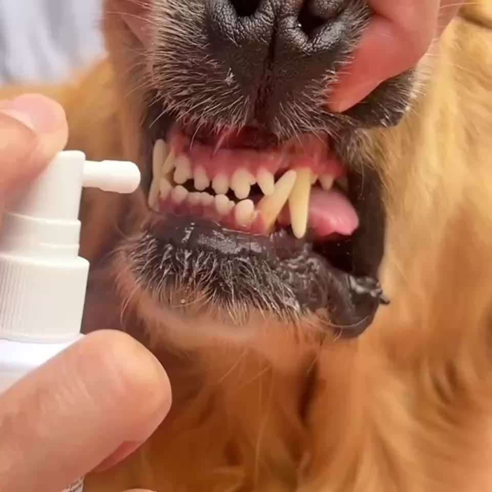 Pet Oral Freshening Spray